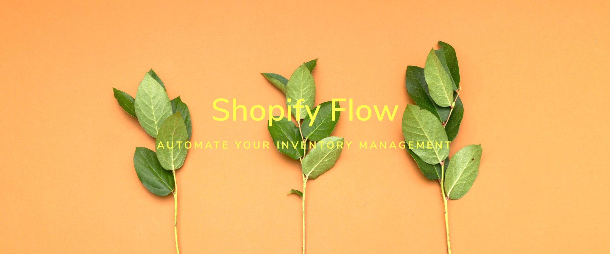 Use Flow to Automate Your Inventory Management and Reorder Low-Stock Products
