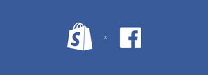 What is the Facebook Sales Channel?
