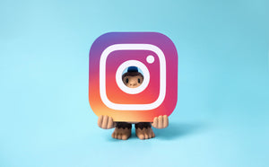 Announcing Instagram Ad Campaigns From MailChimp!